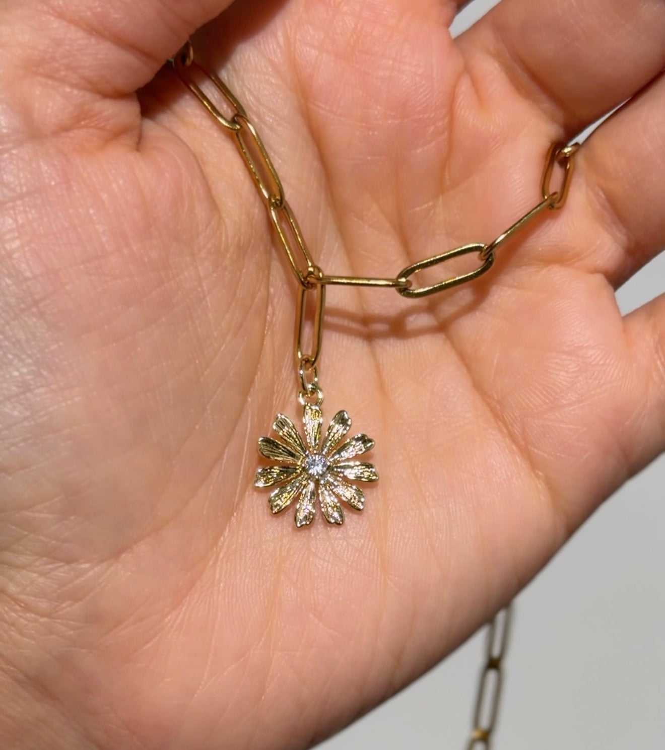 The Kuwaiti Daisy