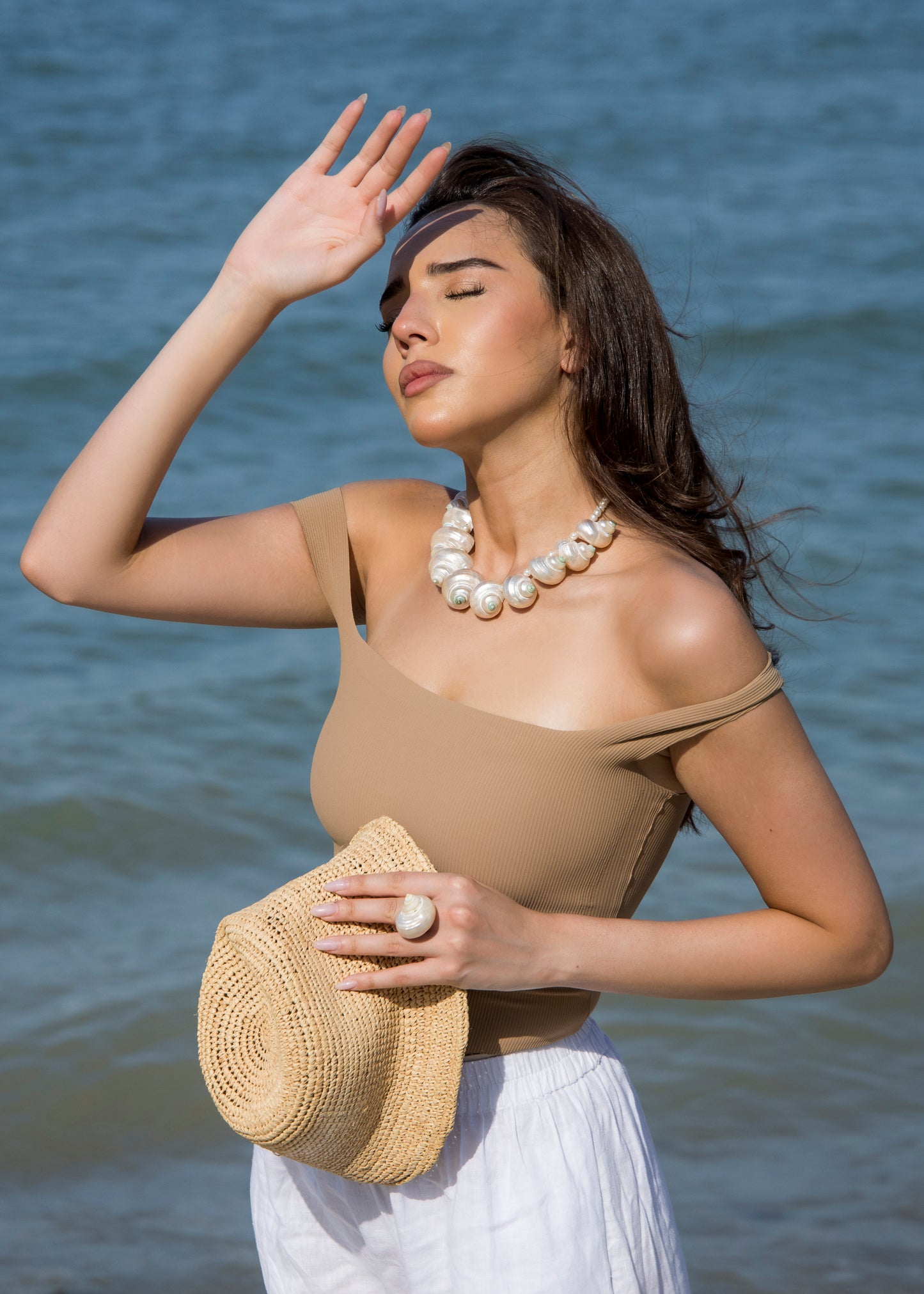 Summer's Shells