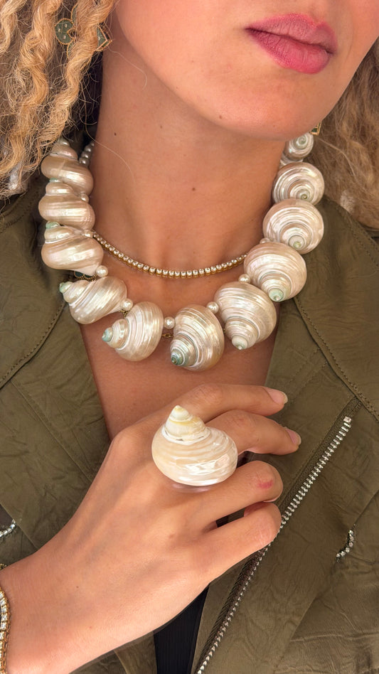 Shells of Summer