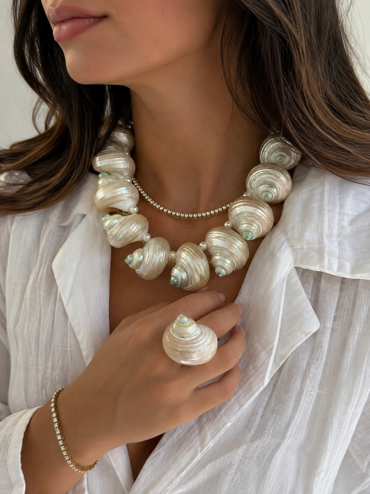 Shells of Summer