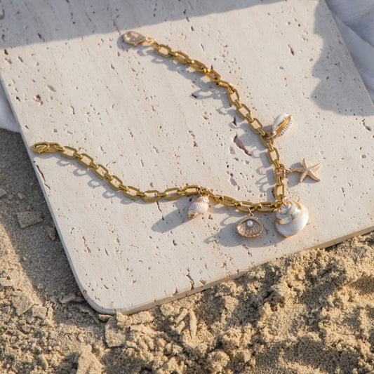 Shell of The Sea