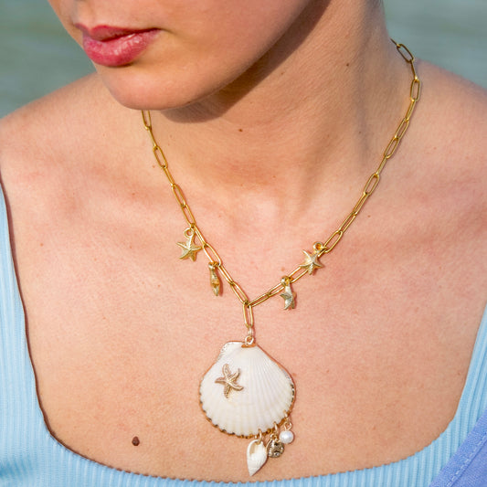 Shell & Starfish